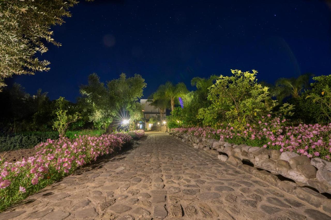 Zoe Seaside Resort Gialova Extérieur photo