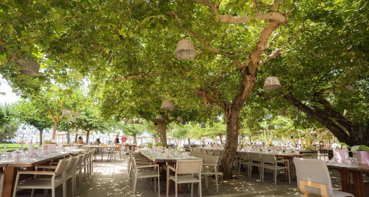 Zoe Seaside Resort Gialova Extérieur photo
